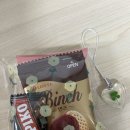 경희자연과학유치원 이미지