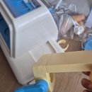 아이스크림가게 - 성남시 분당구 정자로 143 | [내돈내산] 더운날, 집에서 아이랑 마이리틀타이거 '아이스크림 가게'놀이 후기
