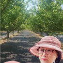 노영순농장 이미지