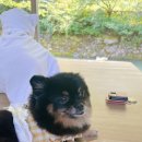 쉼터민박 이미지