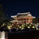 국립세종수목원 야간개장 후기ㅣ입장료·주차장·궁궐정원 총정리