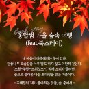 옹달샘 가을 숲속 여행(feat.북스테이) 신청 안내 이미지