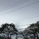 선흘바람 이미지