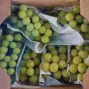 홍주농장 이미지