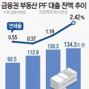 불안불안 부동산PF, 대출잔액·연체율 동반 상승 이미지