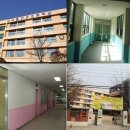 서울연은초등학교 이미지