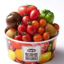 송이 아시아마트 이미지