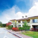 알프스대영CC 이미지