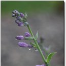 선돌농장 이미지