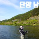 단양 남한강 쏘가리낚시 이미지