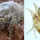 보드미동물병원 이미지