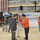 산호초등학교 이미지