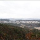 용산교 Daum카페