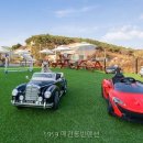 5959애견동반펜션 네이버블로그