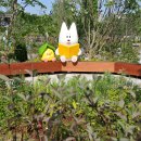 뚝섬한강공원-23 이미지