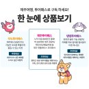 (주)마이제주투어 | 제주투어패스 사용처 24시간 48시간 할인받기