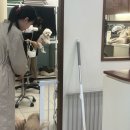 pit a pet (핏어펫) | 뿡빵 미용하다 (김포 애견미용실-핏어펫)