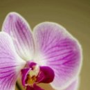 수지의료기 이미지