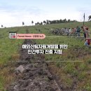 산림산업개발