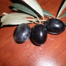 초월농장(2) 이미지