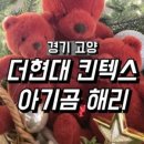 삐꾸네