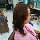 쁘띠헤어샵 이미지