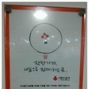 최신영헤어샵
