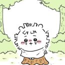 디바브로우 이미지