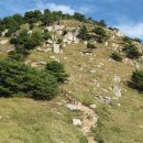 영분농장 | [통영] 경남 통영 소매물도 나 홀로 여행 ③-ⓐ