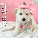 금장2리 이미지