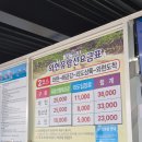 씨월드 관광호텔 | [거제여행] 거제여행 계획 중이라면? 숙소, 관광지, 음식점까지 싹~ 다 공유!