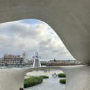 용안 농장 이미지