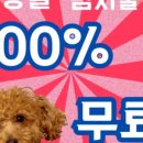 슈랑