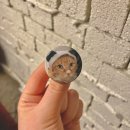 수원-1026 | [수원] 홍라드 인계동카페 추천 내돈내산 후기