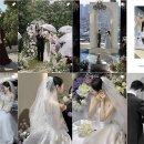 마무아뜰리에 | [Wedding]W2. 도로마무 아이폰스냅 치즈앤버터 계약 후기