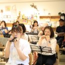 트리플트리 이미지