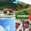 곡성-178 네이버블로그