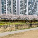 온천천시민공원 자전거대여소 이미지