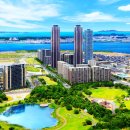 포레스트 오션(Forest Ocean)