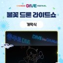 다이브크루