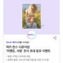 빅피쳐몰