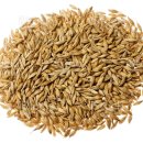 먹고보리 이미지