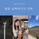 평창 운교리 밤나무 | 평창 청옥산 육백마지기 차박 레이 타고 다녀온 찐 후기