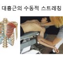 대흉근 & 소흉근 스트레칭 방법 이미지