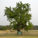 토성농장 이미지