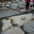 치목삼베영농조합법인 이미지