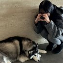 애코랜드 | [부산] 애코랜드 A.COLAND : 해운대 오션뷰 허스키 카페