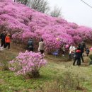 효성이네 이미지