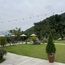 동읍1177 | 창원 근교 대형카페 숲 뷰를 볼 수 있는 '용강포레' 후기