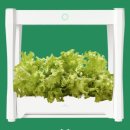 내방농장 이미지